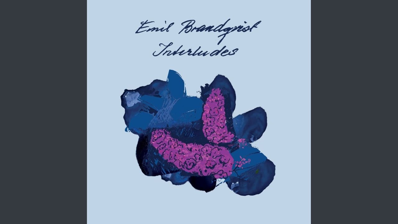 The Living Room Gymnast