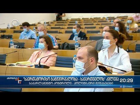 საპარლამენტო კონტროლი - პოლიტიკური შეფასებები