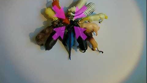 Exercise 4 of 6 - Crowd Dynamics Instruction Video