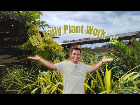 How I Really Take Care of My Plants on the Farm (TAGALOG VLOG)