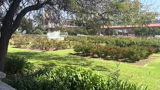 Discovering the California Rose garden by 50statesUSA 3 views 3 days ago 28 seconds