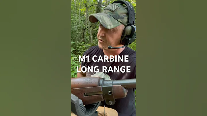 M1 Carbine, long-range #m1 #ww2 #militarysurplus #m1 #bullet  #army #wwii #shorts #shortvideo