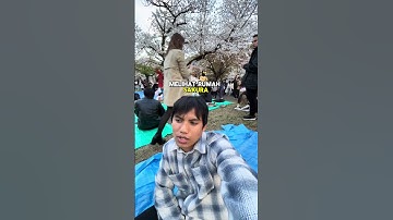Karena kasihan tidak ada yang fotoin 🤭 #kerjajepang  #vlog  #sakura #tourjepang