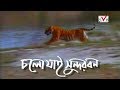 চলো যাই সুন্দরবন, Lets go Sundarban