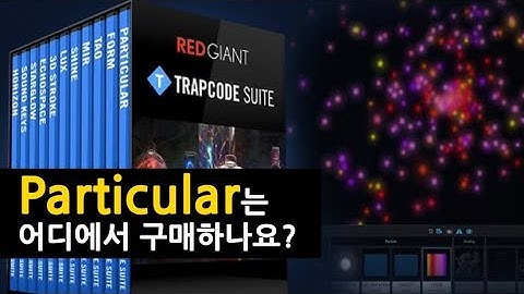 Particular는 어디에서 구매해야 하나요? (설명에 링크포함)
