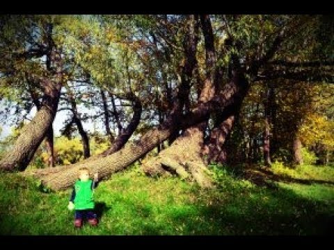 Фильм на 2 года