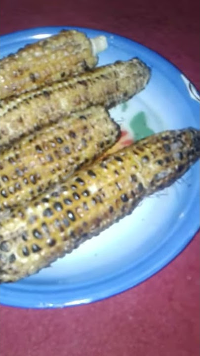 Fidio lucu makan jagung bakar rasa janda