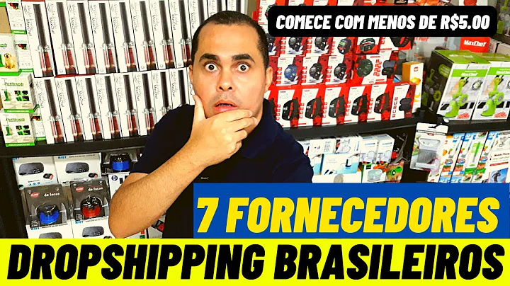 Descubra os melhores fornecedores de dropship no Brasil!