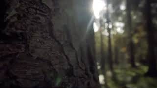 Padepokan Wali Songo Tirto Mahoning Suci No Vokal