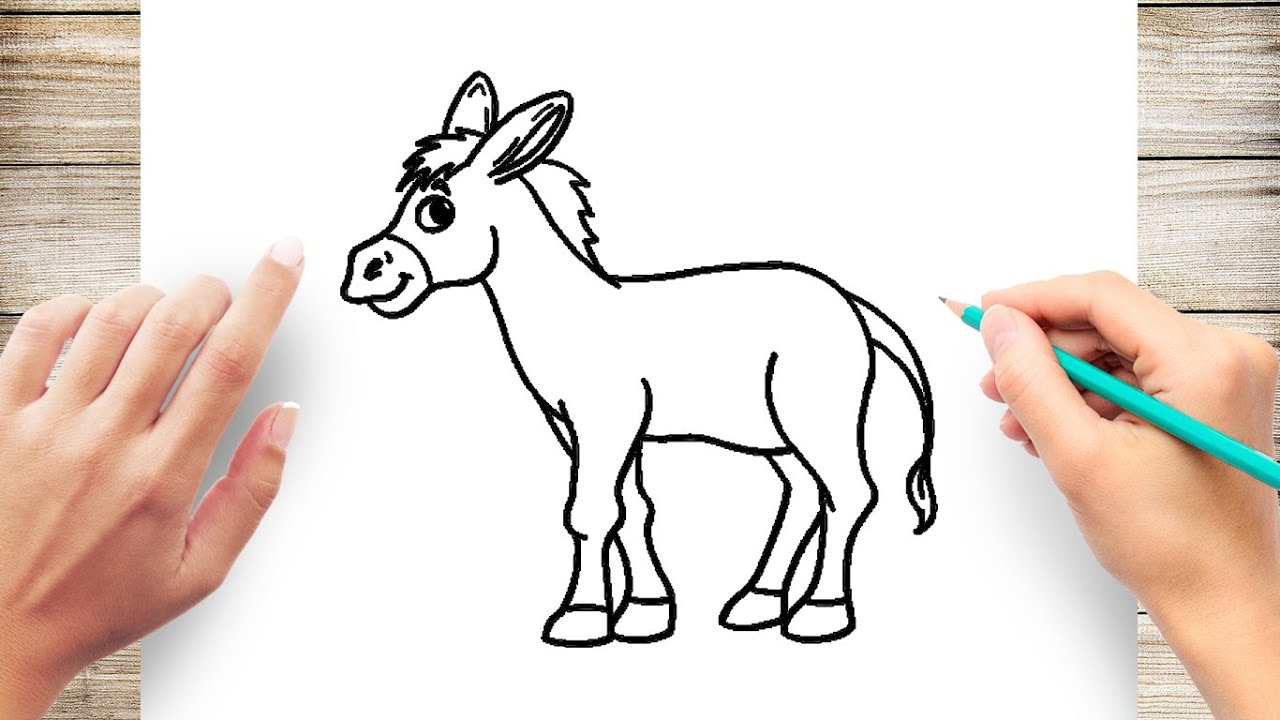 How To Draw Cartoon Donkey Step by Step - YouTube