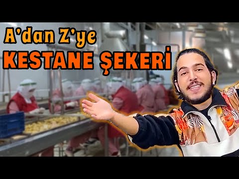 YILDA 800 TON KESTANE ŞEKERİ NASIL YAPILIR? | Bursa Kardelen Kestane Şekeri