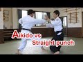 Aikido vs Straight punch（Possibility of Aikido）