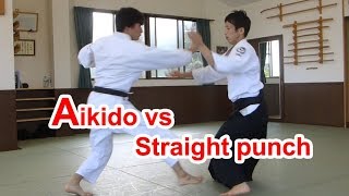 Aikido vs Straight punch（Possibility of Aikido）