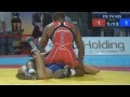 2011 Istanbul World Freestyle Wrestling Championship