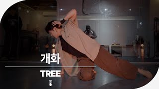 Download Lagu 시인을 위하여 - 개화 | TREE (Choreography) MP3
