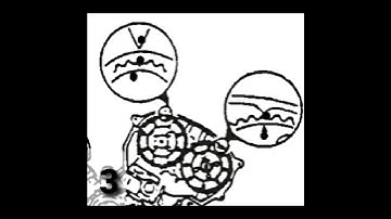 Mazda 3.0L DOHC Engine Timing Mark #shorts #mazda #engine #timing #mark