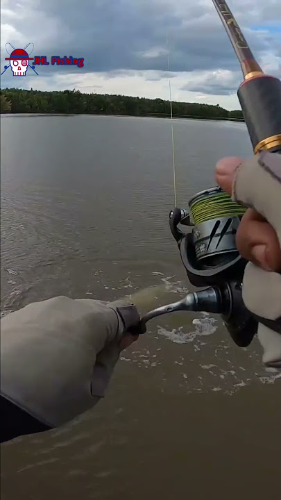 mancing trolling strike barakuda besar 13kg #shorts