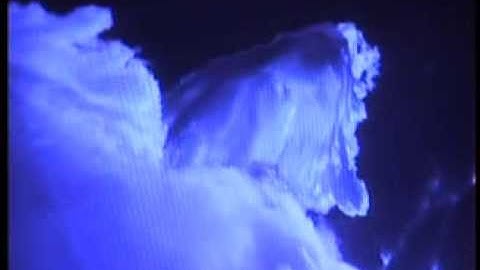 MENTHOL - INFESDEFENGHIS