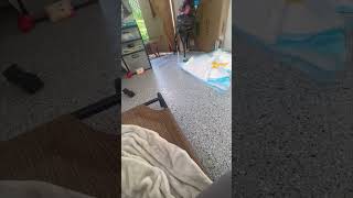 Mother Dog Drags Her Puppy Outdoors