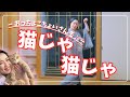 【端唄 猫じゃ猫じゃ Nihon Buyo】猫ポーズで楽しむ日本舞踊|可愛い振付のJapanese Dance