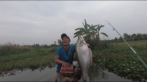 CÂU CÁ THÁC LÁC CƯỜM KHỦNG CÙNG VỚI THỢ SĂN CÁ THÁC LÁC CƯỜM ( CÁ NÀNG HAI )