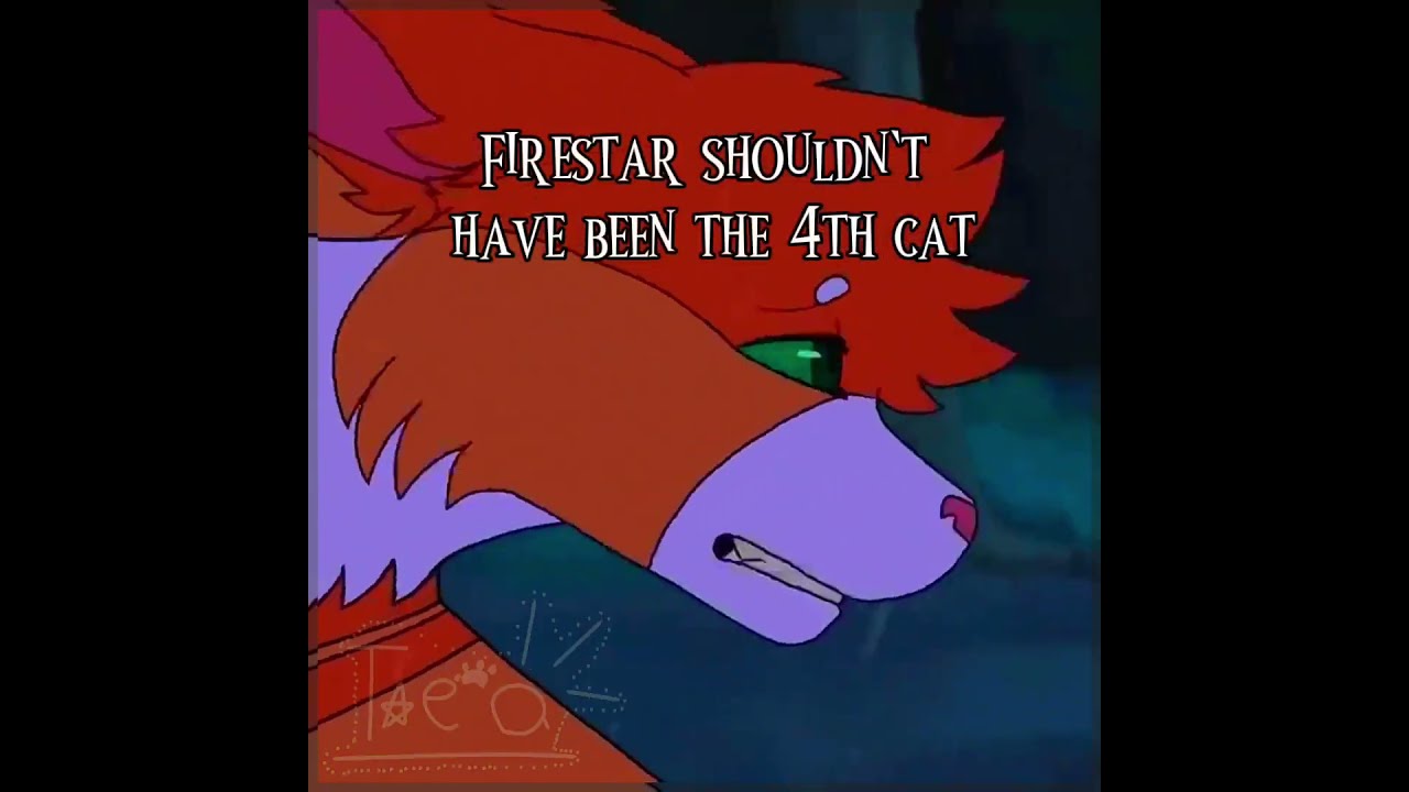 My Unpopular Warrior Cat Opinions Flower Dragonz Warriorcats Edit Cloudys600editcomp