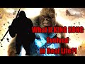 What if King Kong was Real? - The King of Apes