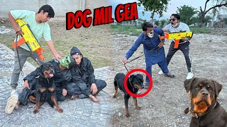 Rottweiler Dog Ko Dhond Lea 😍 Kis Ky Pass Tha ?