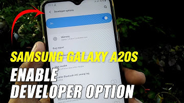 How To Enable Developer Option On Samsung Galaxy A20s
