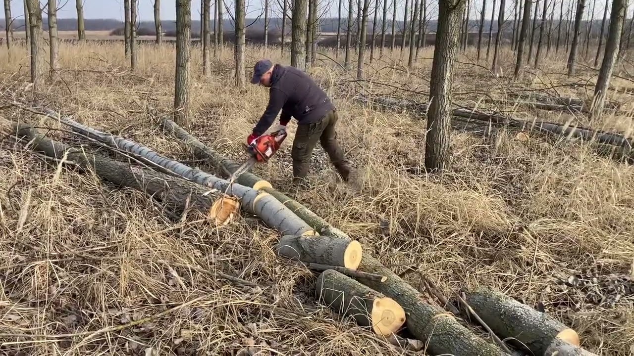 Husqvarna 359!