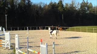 209 Conches P1 Emma Vénus 08032015 SANS SON