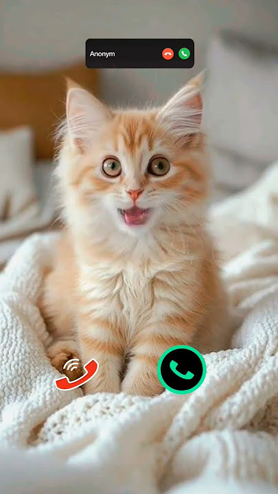 #smartphone #ringtone #tech #call #ringtones #iphone #mobiletech #innovation #unveiling #iphone15