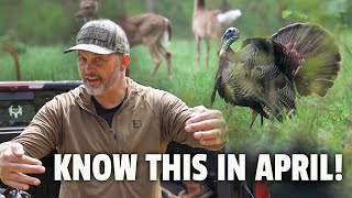 Celebrity APRIL Tactics FOR MORE TURKEYS. Know the Stages! Net Worth