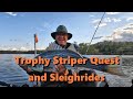 Trophy striper quest and sleigh rides
