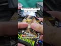 Secrets of Strixhaven collector booster opening CBB magic cards scambled potato #magicthegathering