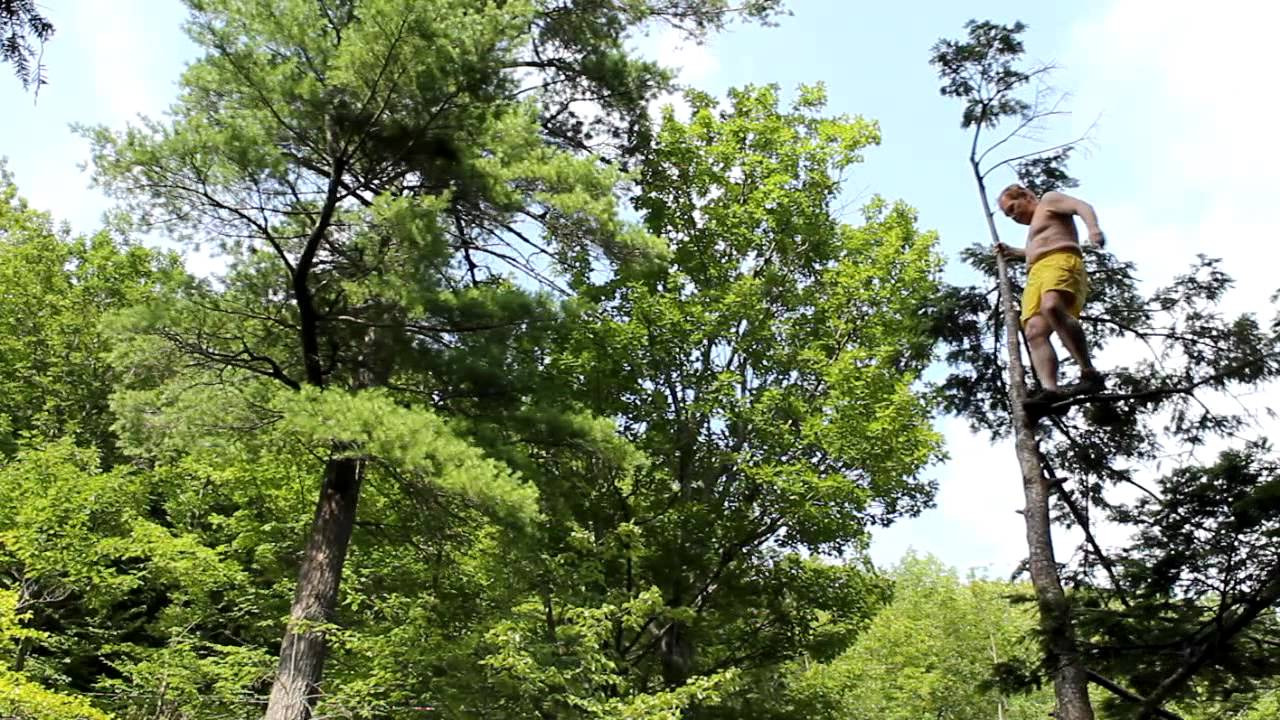 Fawn's Leap Catskills Mountain Jump From a Tree YouTube