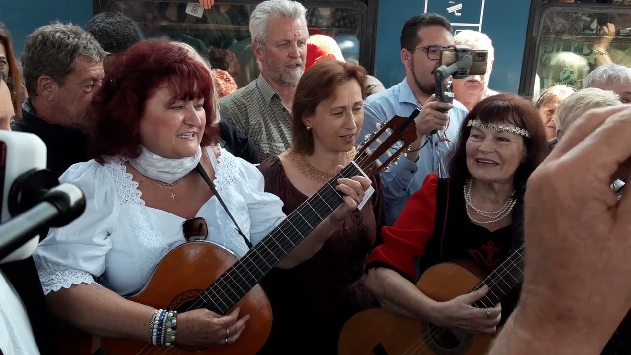 Az Össznemzeti Zarándokvonatot fogadták a váradi vasútállomáson