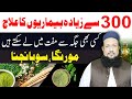 300 Se Zayda Bimarion Ka Ilaj/Shifa | Moranga Sohanjna Se Desi Ilaj | Hakeem Mehmood Tohidee