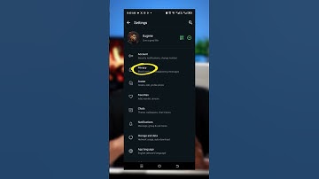 How to view WhatsApp status without People knowing
