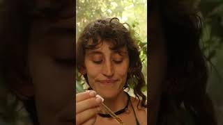 Soma Flora Cosmic Elixir | Luxury Medicinal Cannabis Tincture | CBD Store India