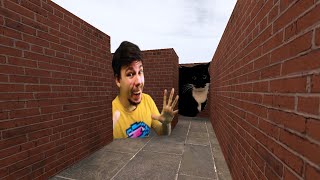 Mr Beast and  Maxwell Cat Nextbots - Elusive Skateboarder (Garry's Mod)