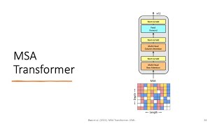 Training, Evaluating, and Understanding Evolutionary Models for Protein Sequences