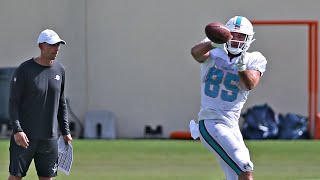 Quarterback starter position is open admits Miami Dolphins offensive coordinator