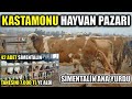 KASTAMONU HAYVAN PAZARI BÖLÜM 2 | EN BEĞENDİĞİM HAYVAN PAZARI