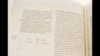 Juridical Humanism: the Pisan manuscript and the critique to the Bolognese school