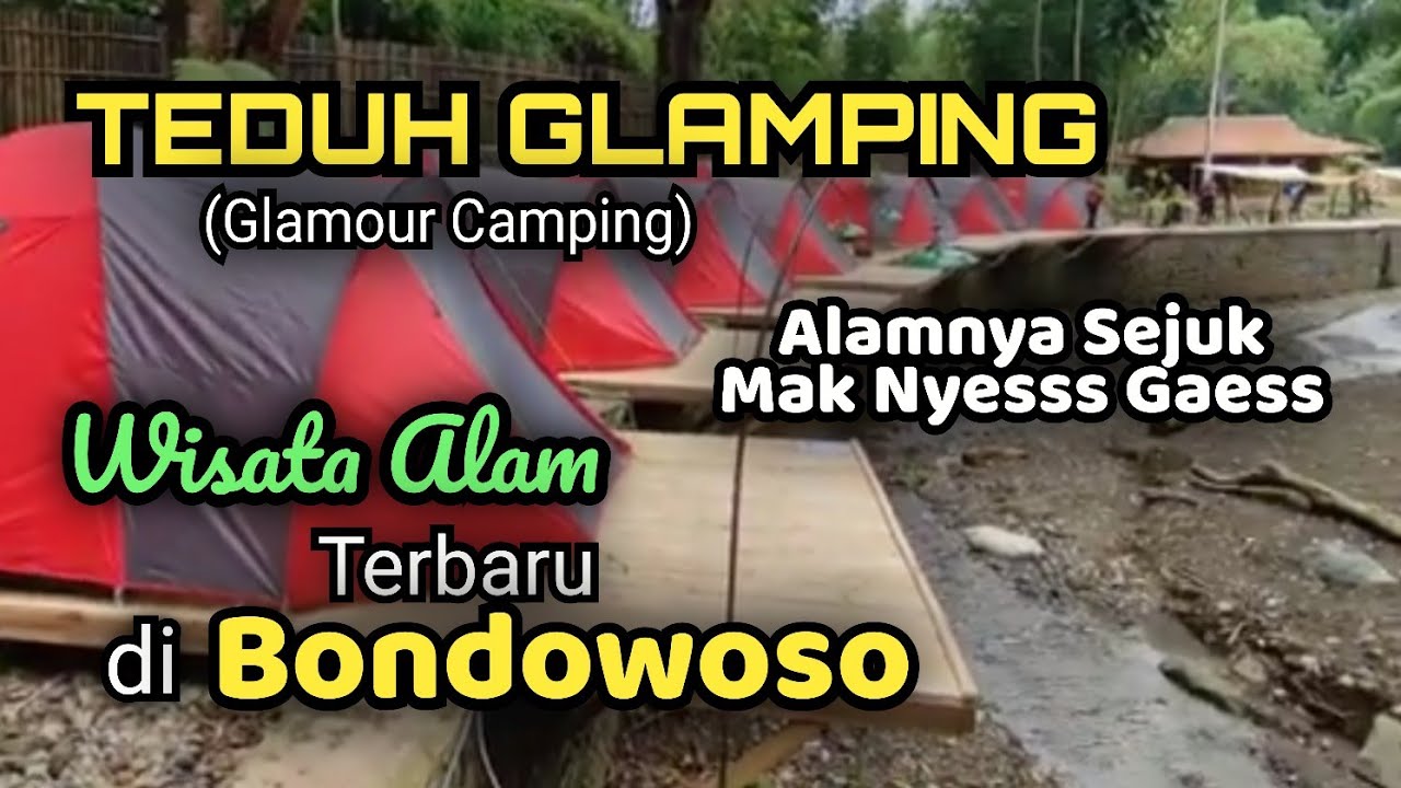 DESTINASI WISATA ALAM BARU "TEDUH GLAMPING" SUMBER WRINGIN BONDOWOSO