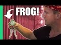 Eating frog in Vietnam!