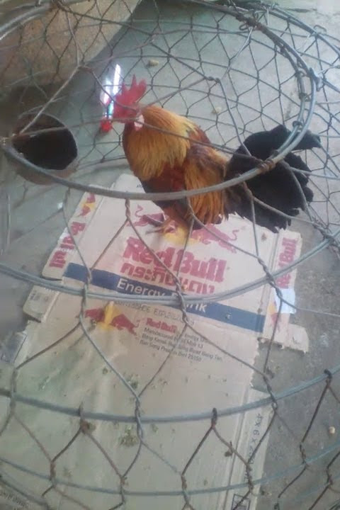 Ngày 05 tháng 02 năm 2018