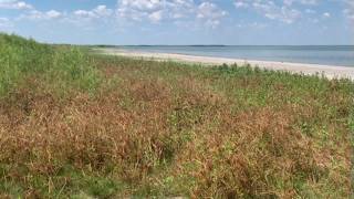 Corpus Christi set to return to stage 2 water restrictions as lake levels rise