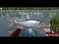 Ultimate Fishing Simulator | Gameplay on Richmond Lakes | 2018